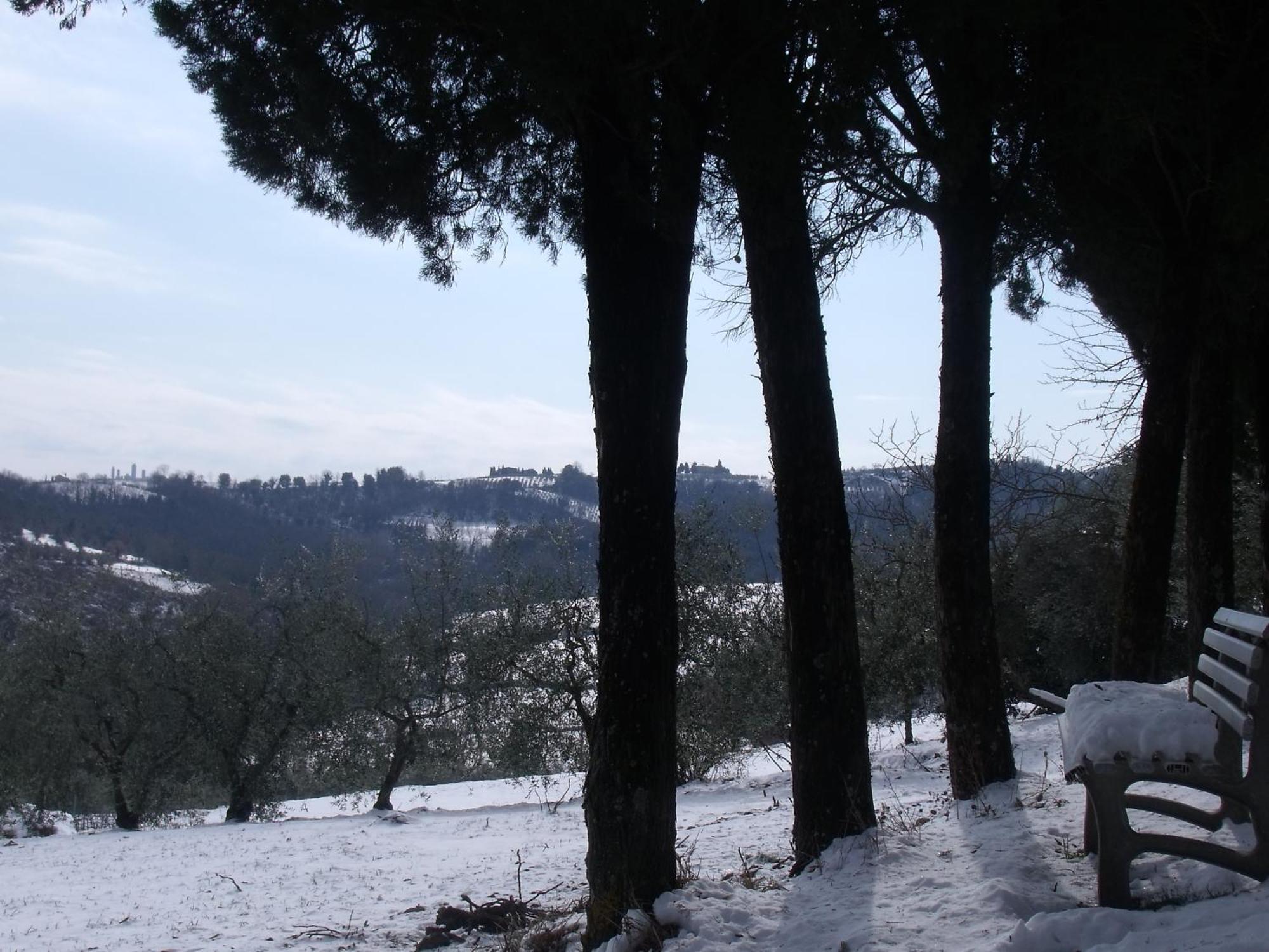 سان جيمينيانو Agriturismo Casa Alle Vacche المظهر الخارجي الصورة