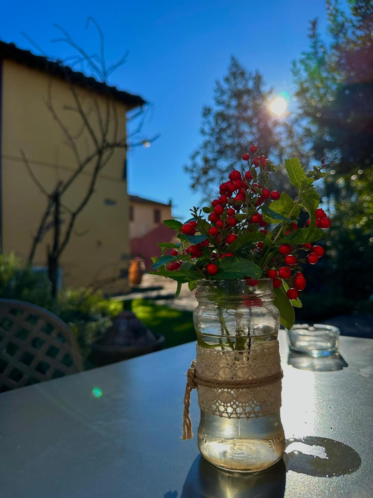 سان جيمينيانو Agriturismo Casa Alle Vacche المظهر الخارجي الصورة