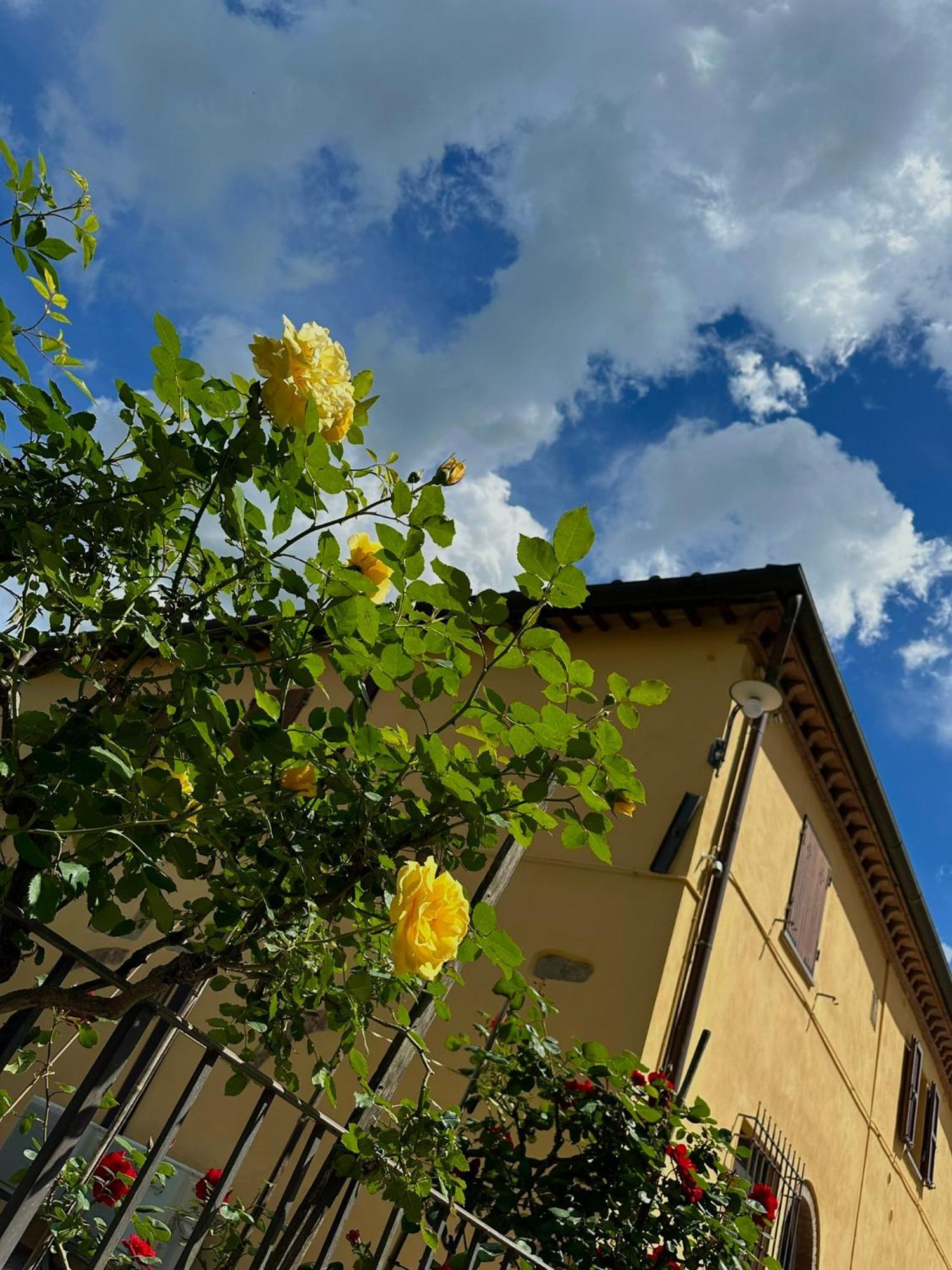سان جيمينيانو Agriturismo Casa Alle Vacche المظهر الخارجي الصورة