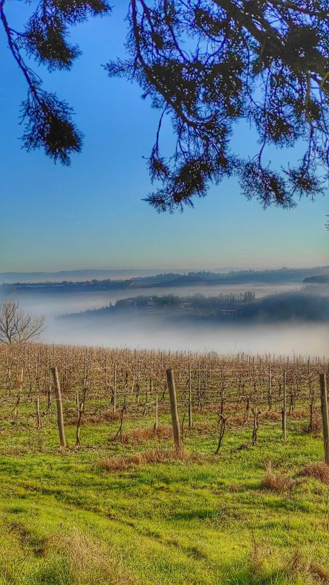 سان جيمينيانو Agriturismo Casa Alle Vacche المظهر الخارجي الصورة
