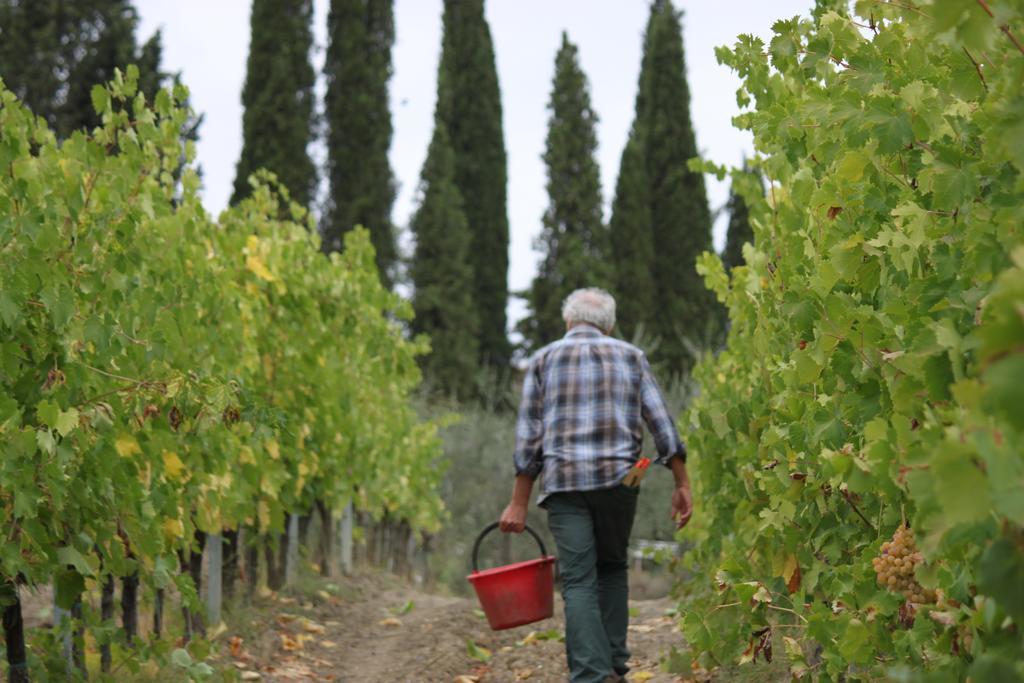 سان جيمينيانو Agriturismo Casa Alle Vacche المظهر الخارجي الصورة